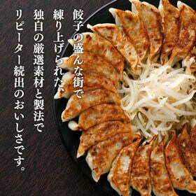 【計600g/30個入】特選浜松餃子