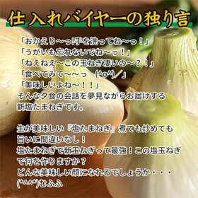 【予約受付】3/25~順次出荷【約9kg/大玉サイズ】長崎県産新塩玉ねぎ (ご家庭用、傷あり)