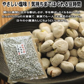 ＜シンプル百科＞【500g】毎日つまめる大容量の塩豆