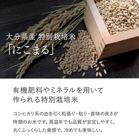 【玄米5kg】特別栽培米 大分県産 宗像農園 にこまる 栽培期間農薬不使用 令和7年産