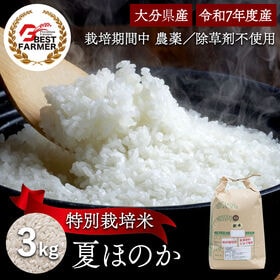 【精米3kg】特別栽培米 大分県産 宗像農園 夏ほのか 栽培期間農薬不使用 令和7年産 | 表土に幕を作り水とで酸素届かない状態にして除草剤を使用しないで除草する農法