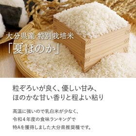 【精米3kg】特別栽培米 大分県産 宗像農園 夏ほのか 栽培期間農薬不使用 令和7年産