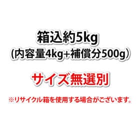 【予約受付】3/23~順次配送【箱込約5kg】熊本県産 河内晩柑（ご家庭用、傷あり）