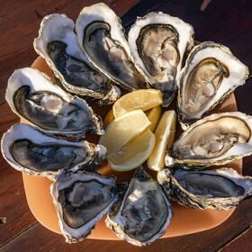 【賞味期限間近】【計30個/10個×3パック】兵庫県室津産 殻付き牡蛎(ハーフシェルオイスター)