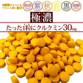 【約1年分】極濃ウコン黄金粒 (約6か月分/180粒)×2袋