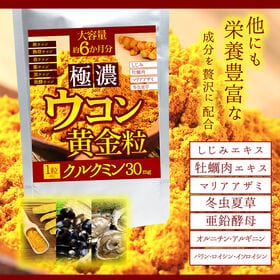 【約1年分】極濃ウコン黄金粒 (約6か月分/180粒)×2袋