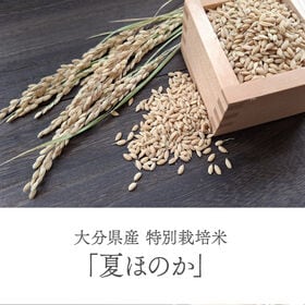 【玄米10kg】特別栽培米 大分県産 宗像農園 夏ほのか 栽培期間農薬不使用 令和7年産