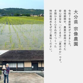 【精米10kg】特別栽培米 大分県産 宗像農園 にこまる 夏ほのか 食べ比べ 栽培期間農薬不使用