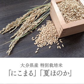 【玄米10kg】特別栽培米 大分県産 宗像農園 にこまる 夏ほのか 食べ比べ 栽培期間農薬不使用
