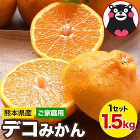 【予約受付】2/27~順次出荷【1.5kg】デコみかん※ご家庭用（傷あり サイズ不選別） | プリプリ果肉がぎゅッとつまった！