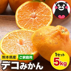 【予約受付】2/27~順次出荷【5kg】デコみかん※ご家庭用（傷あり サイズ不選別） | プリプリ果肉がぎゅッとつまった！