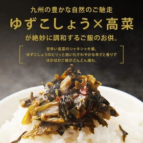 【計240g(120g×2袋)】九州産 ゆずこしょう高菜