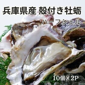 【賞味期限間近】【計20個/10個×2パック】兵庫県室津産 殻付き牡蛎(ハーフシェルオイスター) | プリプリで身がしっかり！調理しやすい美味しいハーフシェル！牡蠣なべ、焼き牡蠣、蒸し牡蠣等々