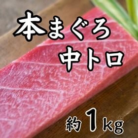 【約1kg】本まぐろ 中とろ（形・大きさ不揃い柵） | 高級本まぐろ！！厳選した本鮪の美味しい中トロ柵！お好みの大きさにカットしご堪能下さい！