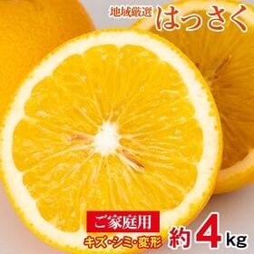 【予約受付】2/5~順次出荷【約4kg/サイズお任せ】地域厳選はっさく  ご家庭用 | プチプチ実の弾ける甘酸っぱさ♪