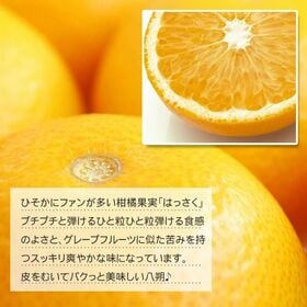 【予約受付】2/5~順次出荷【約8kg/サイズお任せ】地域厳選はっさく  ご家庭用