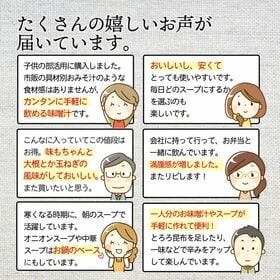 【9種類 20個】 味噌汁 福袋(オニオンスープ わかめスープ しじみ等) ランダム