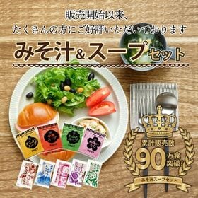 【9種類 計100個】 味噌汁 福袋(オニオンスープ わかめスープ しじみ等) ランダム