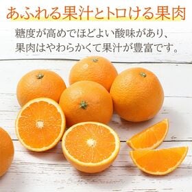 【予約受付】3/15~順次出荷【約5kg/サイズおまかせ】和歌山県産 清美オレンジ 秀品・優品