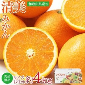 【予約受付】3/15~順次出荷【約4kg/サイズおまかせ】和歌山県産 清美オレンジ 秀品・優品 | 春先まで完熟させた濃厚な味わいをお楽しみください♪