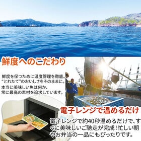 国産 いわし生姜煮 360g【120g×3パック】