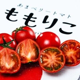 【約1kg(15~24玉)】徳島県産 あまベリートマト「ももりこ」糖度8度選別 | 糖度8度選別の高糖度フルーツトマトです！