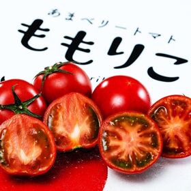 【約1kg×2箱(1箱：15~24玉入)】徳島県産 あまベリートマト「ももりこ」糖度8度選別