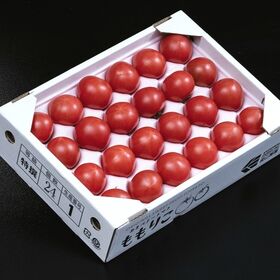 【約1kg×2箱(1箱：15~24玉入)】徳島県産 あまベリートマト「ももりこ」糖度8度選別