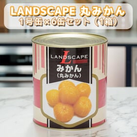 【賞味期限間近】LANDSCAPE みかん（丸みかん）1号缶【1箱（6缶入）】  3kg シロップ漬