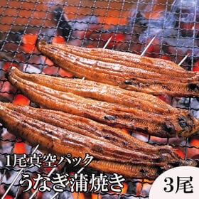 【約140g×3パック】うなぎ蒲焼き 1尾真空パック | 真空パックのまま温めるだけで専門店のような味わいをご自宅で