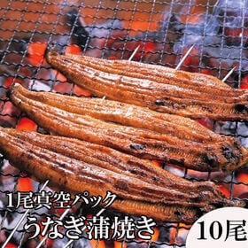 【約140g×10パック】うなぎ蒲焼き 1尾真空パック