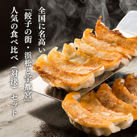 【計600g/各15個計30個入】特選浜松餃子VS宇都宮餃子