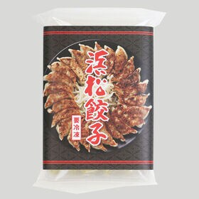 【計1200g/60個入】特選浜松餃子