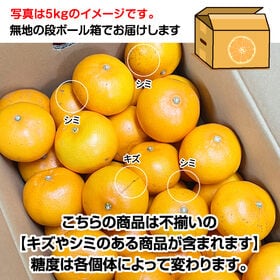 【約4.0kg】 瀬戸内産 せとか (ご家庭用・サイズ不選別)