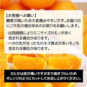 【約4.0kg】 瀬戸内産 せとか (ご家庭用・サイズ不選別)