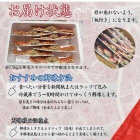 【北海道産】 オオズワイガニ 1.5kg 姿 ボイル （3-6尾）