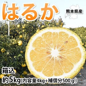 【箱込約5kg】熊本県産 はるか（傷あり、不揃い、ご自宅用） | 上品な甘みと優しい香り