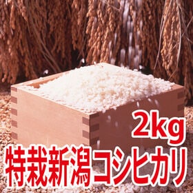 【2kg×1袋】令和7年産  特別栽培米新潟県阿賀野産コシヒカリ