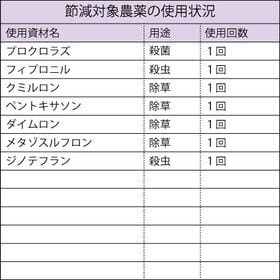 【10kg (5kg×2袋)】令和7年産  特別栽培米新潟県阿賀野産コシヒカリ
