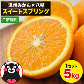 【5kg】スイートスプリング※ご家庭用（傷あり サイズ不選別） | 温州みかんと八朔の交配が織りなす極上の味わい！
