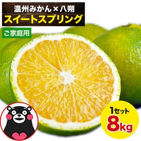 【8kg】スイートスプリング※ご家庭用（傷あり サイズ不選別） | 温州みかんと八朔の交配が織りなす極上の味わい！