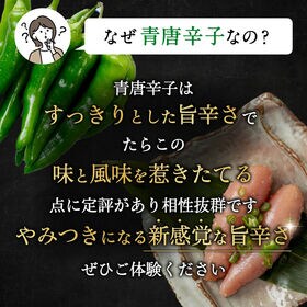 【500g】楢崎商店 青唐辛子明太子 (切れ子）《激辛3辛》