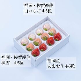 【九州産】3色いちご食べ比べ（計12粒-15粒）
