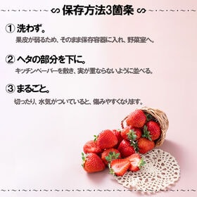 【九州産】3色いちご食べ比べ（計12粒-15粒）