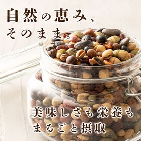 【日替わり数量限定】【300g(300g×1袋)】煌めき9種の国産煎り豆ミックス【先行チケット利用NG】