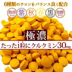 【日替わり数量限定】【大容量約6か月分】極濃ウコン黄金粒 180粒【先行チケット利用NG】