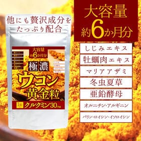 【日替わり数量限定】【大容量約6か月分】極濃ウコン黄金粒 180粒【先行チケット利用NG】