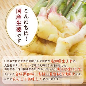 【日替わり数量限定】【100g(100g×1)】国産(高知県産)生姜糖ドライフルーツ(チャック付き)【先行チケット利用NG】