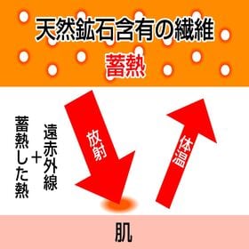 【2色組/LLサイズ】超快温あったか安心パンツ(横漏れ対応)