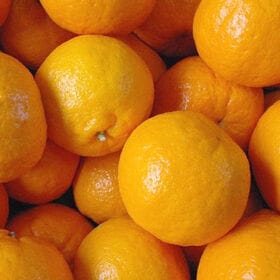 【10kg】宇和島産 小玉ぽんかん